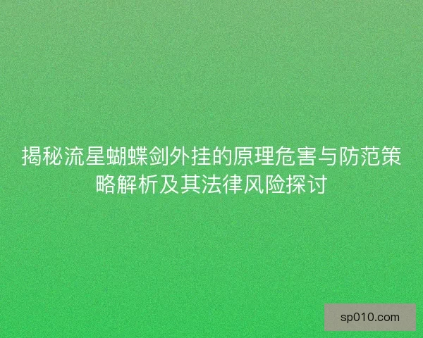 揭秘流星蝴蝶剑外挂的原理危害与防范策略解析及其法律风险探讨